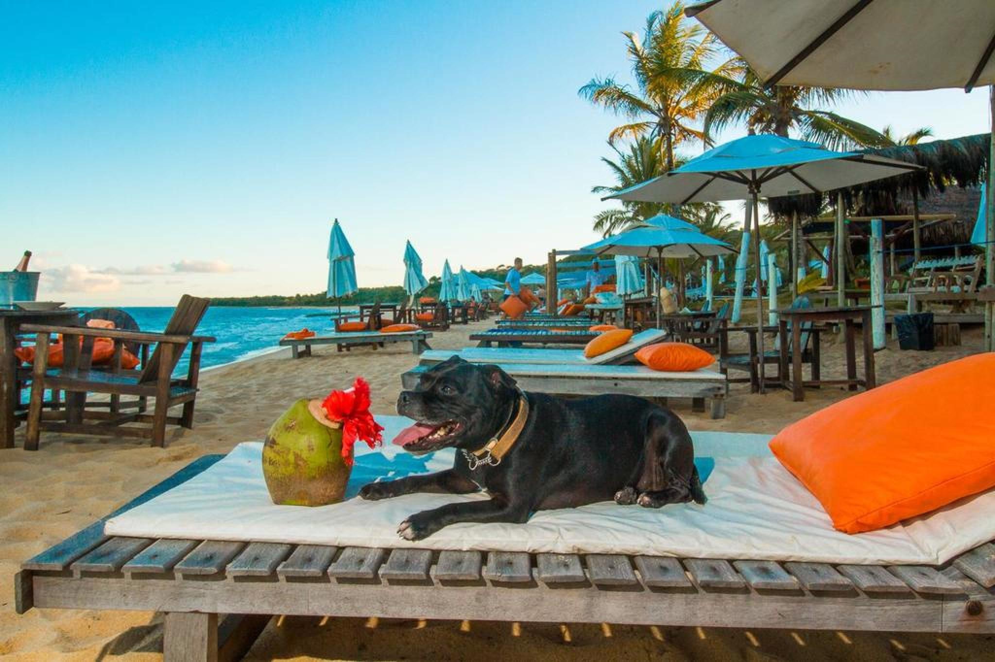 Travel Inn Trancoso Garden 外观 照片